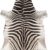 Dutch Lifestyle – Vloerkleed Glasgow zebra – 155x190cm