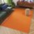 Tapiso Mono Vloerkleed Oranje Binnen en Buiten Tapijt Maat- 140×200